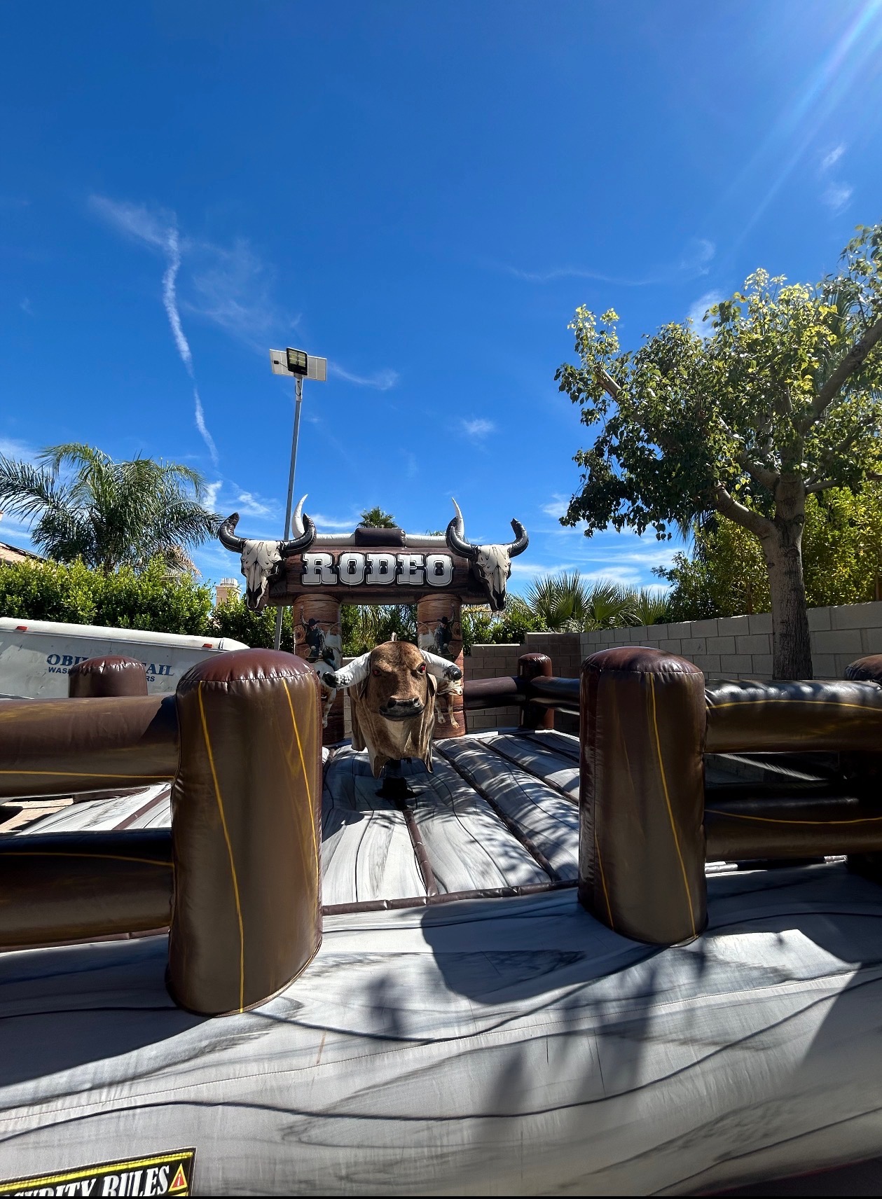 Mechanical rodeo bull rental by Psalms Event Rentals